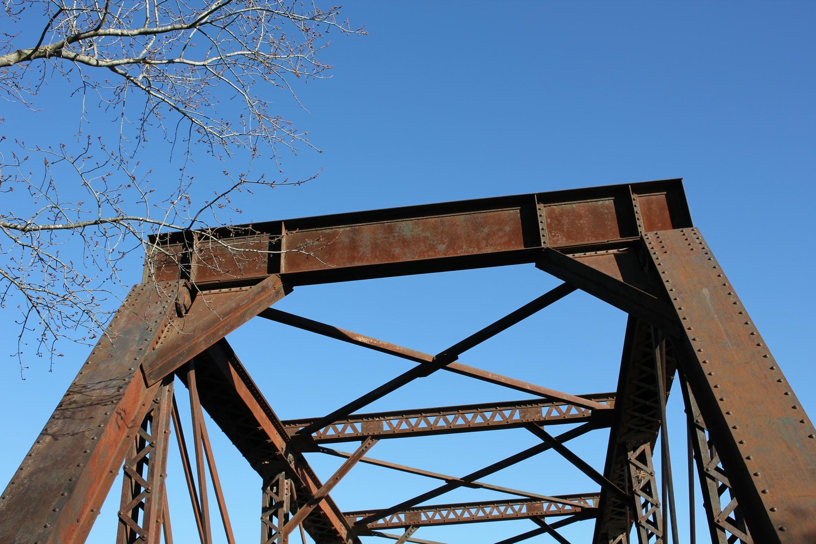 Portal bracing